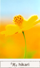 「光」 hikari 「光」 hikari